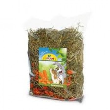 Feno com Cenoura JR Farm 500gr